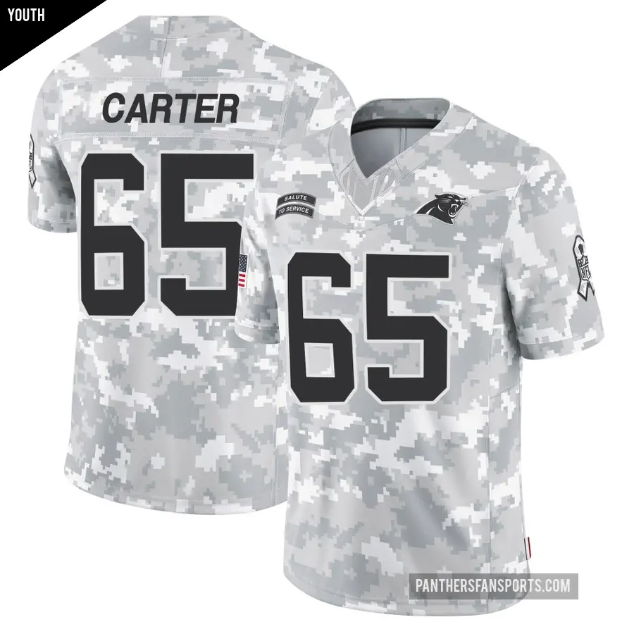 Youth Carolina Panthers ＃65 Ja'Tyre Carter Arctic Camo Limited 2024 Salute to Service Jersey